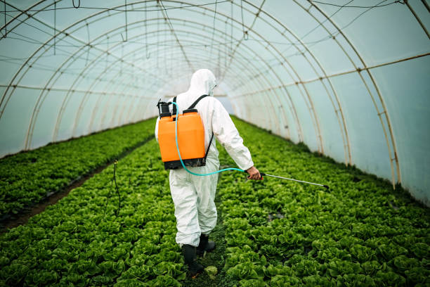 Best Pest Control Near Me  in California, MD
