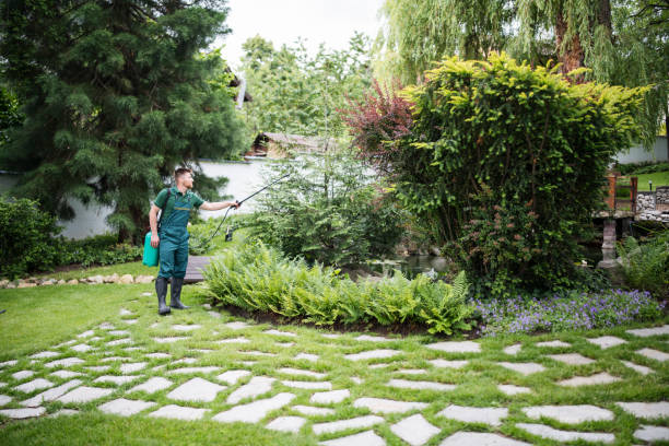 Best Commercial Pest Control Services  in California, MD