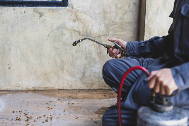 Best Pest Removal Services  in California, MD